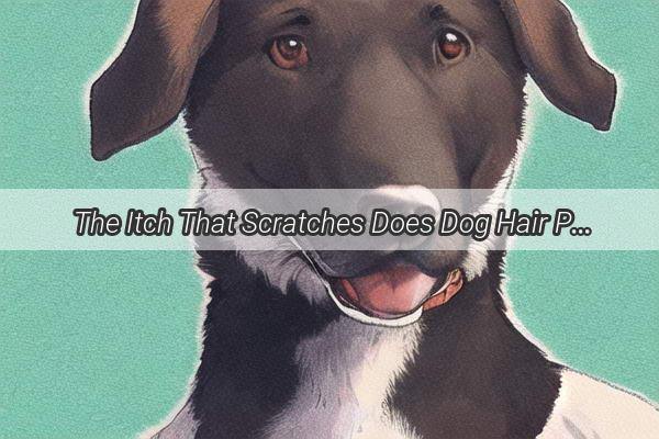 The Itch That Scratches Does Dog Hair Pulling Hurt Your Furry Friend